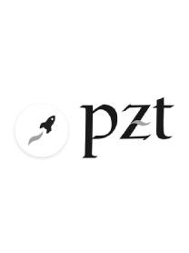 Imagen de PZT
