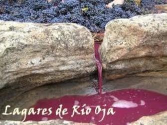 Imagen de LAGARES DE RIO OJA