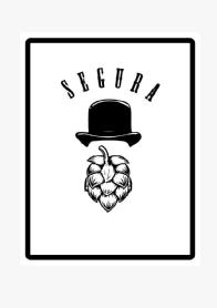 Imagen de SEGURA
