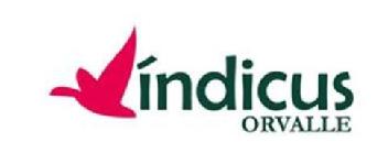 Imagen de INDICUS ORVALLE