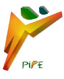 Imagen de PIYE