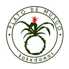 Imagen de PLATO DE MUSGO - KOKEDAMAS
