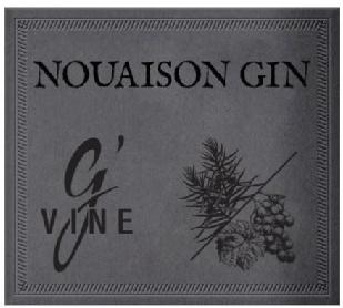 Imagen de NOUAISON GIN G'VINE