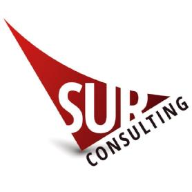 Imagen de SURCONSULTING
