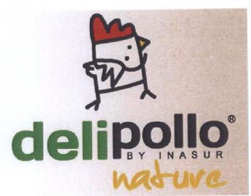 Imagen de DELIPOLLO BY INASUR NATURE