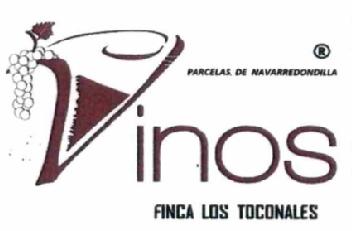 Imagen de PARCELAS DE NAVARREDONDILLA VINOS FINCA LOS TOCONALES