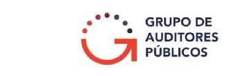 Imagen de GRUPO DE AUDITORES PUBLICOS