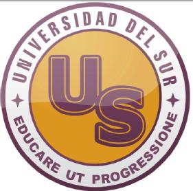 Imagen de UNIVERSIDAD DEL SUR US EDUCARE UT PROGRESSIONE