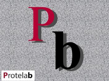Imagen de PB PROTELAB