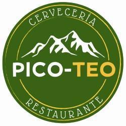 Imagen de CERVECERIA PICO - TEO