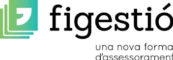 Imagen de FIGESTIÓ UNA NOVA FORMA D\'ASSESSORAMENT