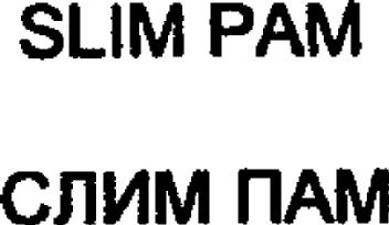 Imagen de SLIM PAM, FIG