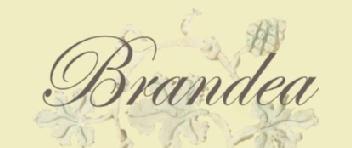 Imagen de BRANDEA