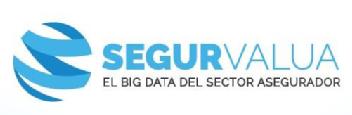 Imagen de SEGURVALUA EL BIG DATA DEL SECTOR ASEGURADOR
