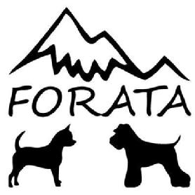 Imagen de FORATA