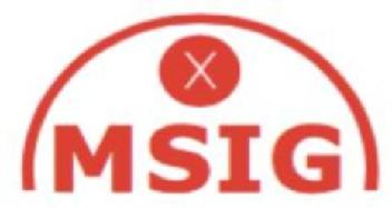 Imagen de MSIG X