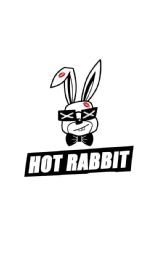 Imagen de HOT RABBIT