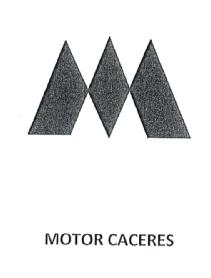 Imagen de MOTOR CACERES