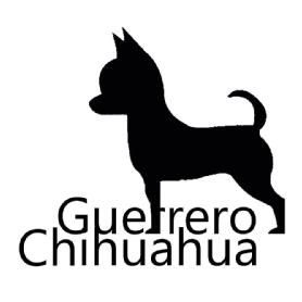 Imagen de GUERRERO CHIHUAHUA