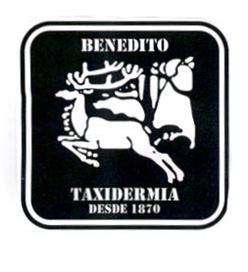 Imagen de BENEDITO TAXIDERMIA DESDE 1870