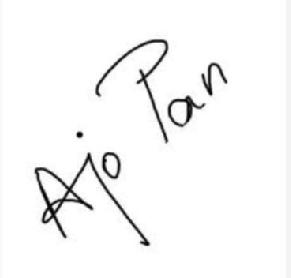 Imagen de AJO PAN