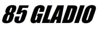 Imagen de 85 GLADIO