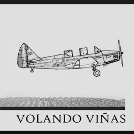 Imagen de VOLANDO VIÑAS