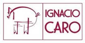 Imagen de IGNACIO CARO