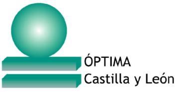 Imagen de OPTIMA CASTILLA Y LEON