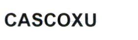 Imagen de CASCOXU