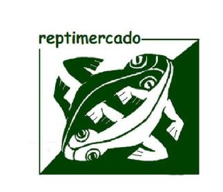 Imagen de REPTIMERCADO