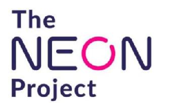 Imagen de THE NEON PROJECT