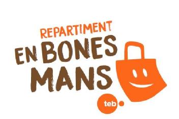 Imagen de REPARTIMENT EN BONES MANS TEB