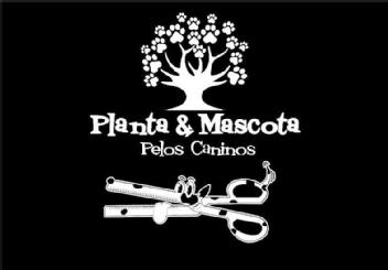 Imagen de PLANTA & MASCOTA PELOS CANINOS