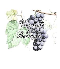 Imagen de VINO TINTO DE BARRANTES