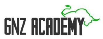 Imagen de GNZ ACADEMY