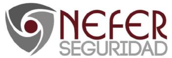Imagen de NEFER SEGURIDAD