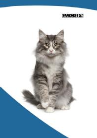 Imagen de GATOS IFS