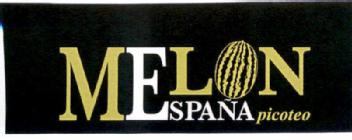 Imagen de MELON ESPAÑA PICOTEO