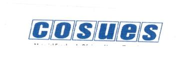 Imagen de COSUES
