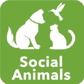 Imagen de SOCIAL ANIMALS