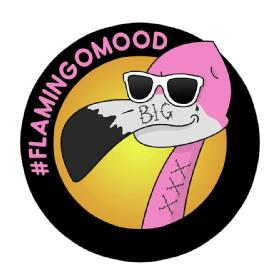 Imagen de #FLAMINGOMOOD