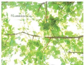 Imagen de LUMINIESENCIA