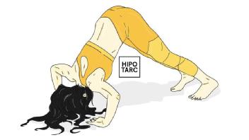 Imagen de HIPO TARC