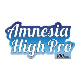 Imagen de AMNESIA HIGH PRO 100 SEEDS