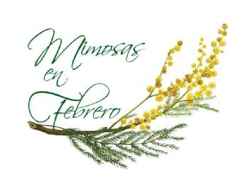 Imagen de MIMOSAS EN FEBRERO