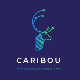 Imagen de CARIBOU TU TALLER EN LA PALMA DE LA MANO