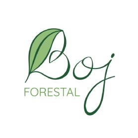 Imagen de BOJ FORESTAL