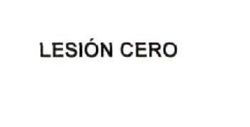 Imagen de LESION CERO