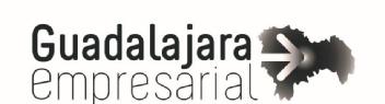 Imagen de GUADALAJARA EMPRESARIAL